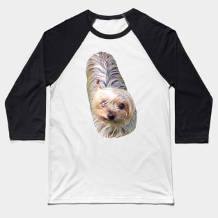 potato dog Baseball T-Shirt